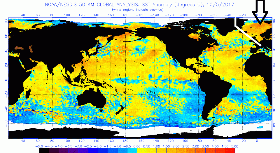 [Bild: attachment.php?thumbnail=10446]