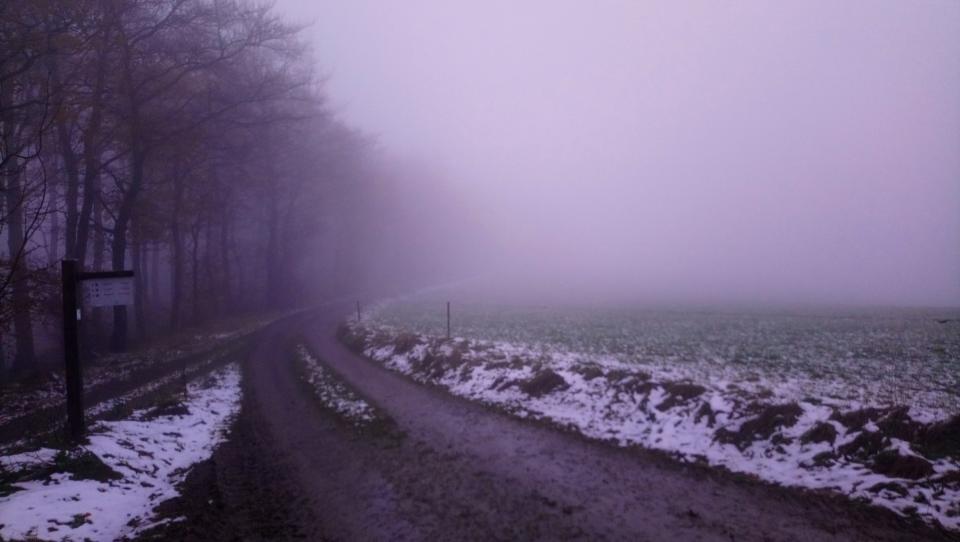 [Bild: attachment.php?thumbnail=11228]