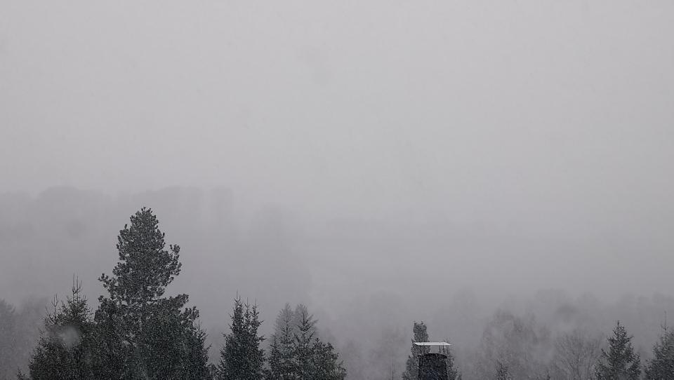 [Bild: attachment.php?thumbnail=12548]