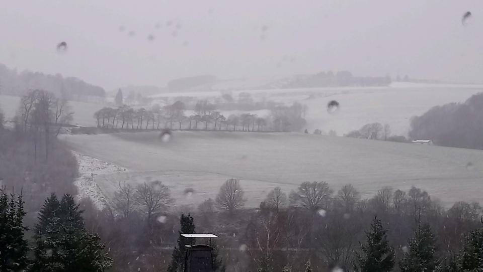 [Bild: attachment.php?thumbnail=12552]