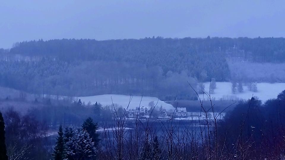 [Bild: attachment.php?thumbnail=12559]