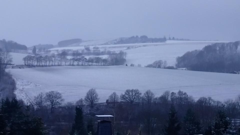 [Bild: attachment.php?thumbnail=12560]