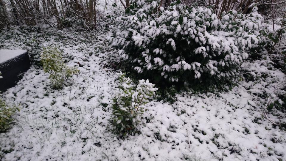 [Bild: attachment.php?thumbnail=12561]