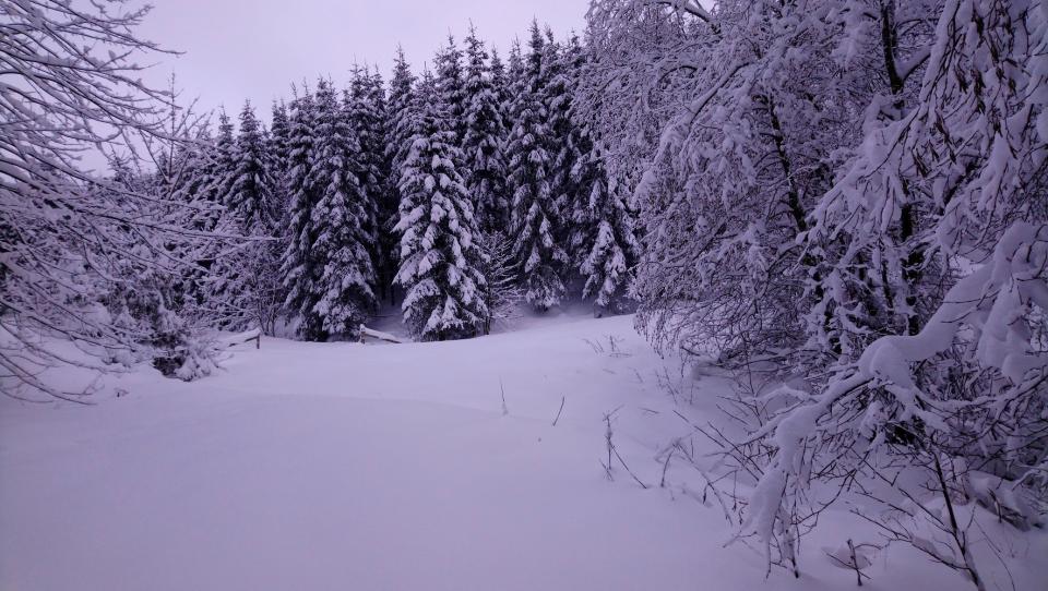 [Bild: attachment.php?thumbnail=13195]