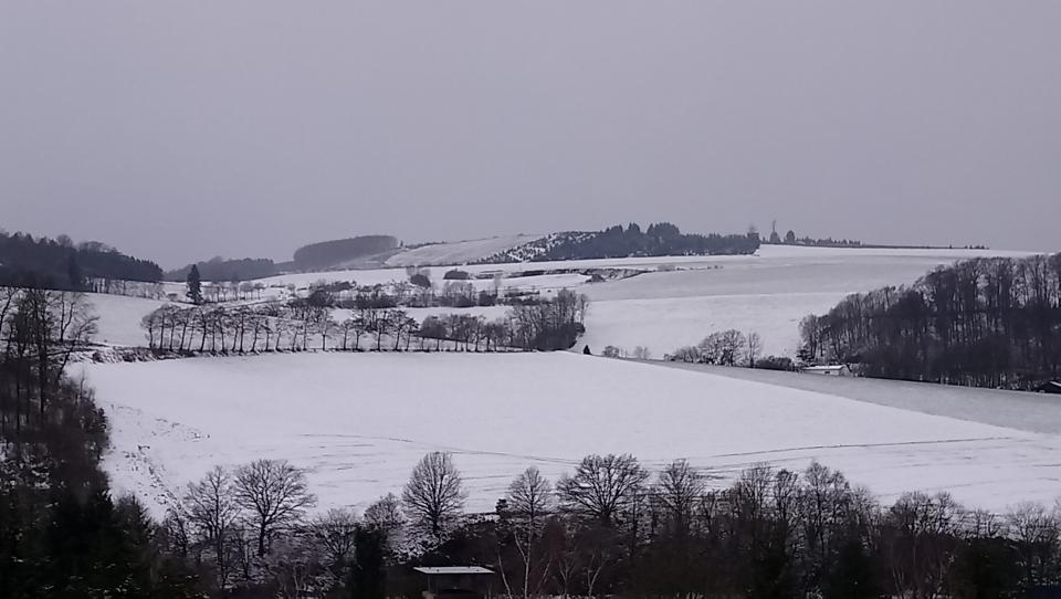 [Bild: attachment.php?thumbnail=15038]