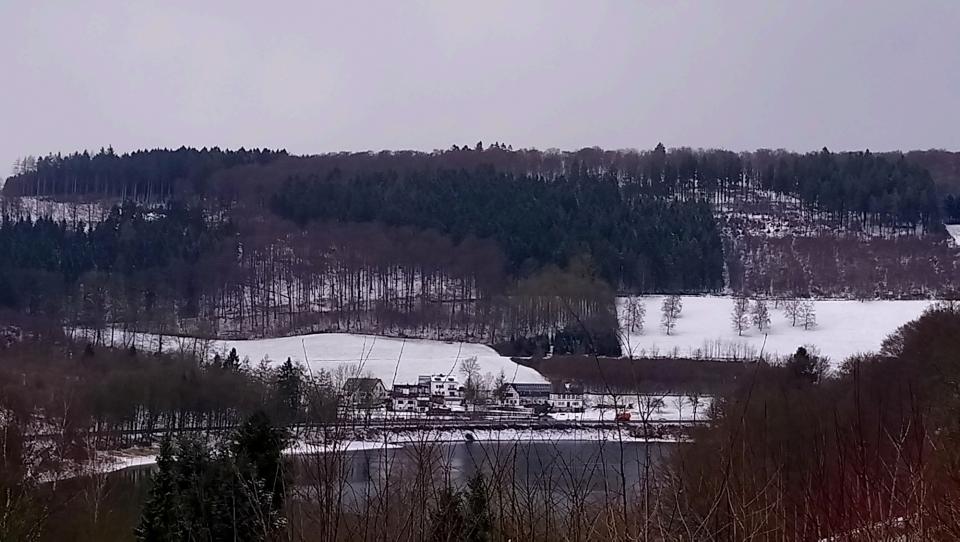 [Bild: attachment.php?thumbnail=15039]