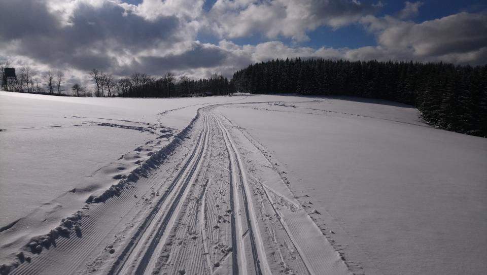 [Bild: attachment.php?thumbnail=15065]