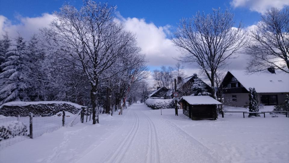 [Bild: attachment.php?thumbnail=15066]