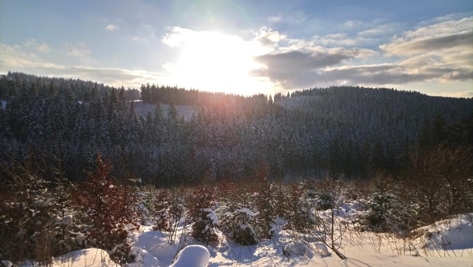 [Bild: attachment.php?thumbnail=15077]