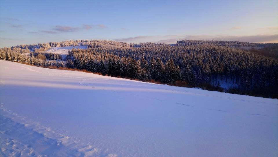 [Bild: attachment.php?thumbnail=15082]