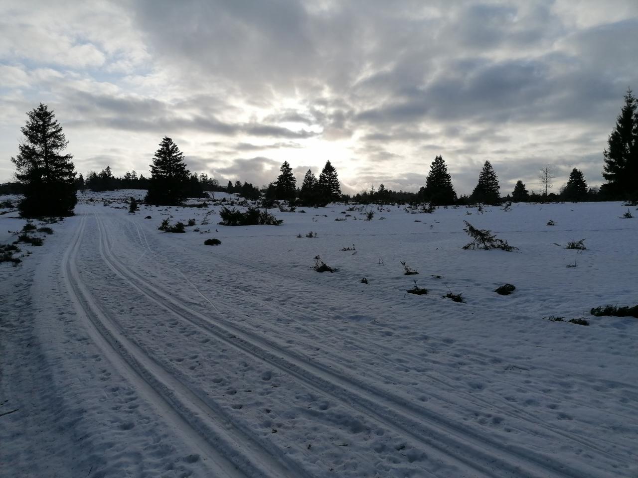 [Bild: attachment.php?thumbnail=34858]