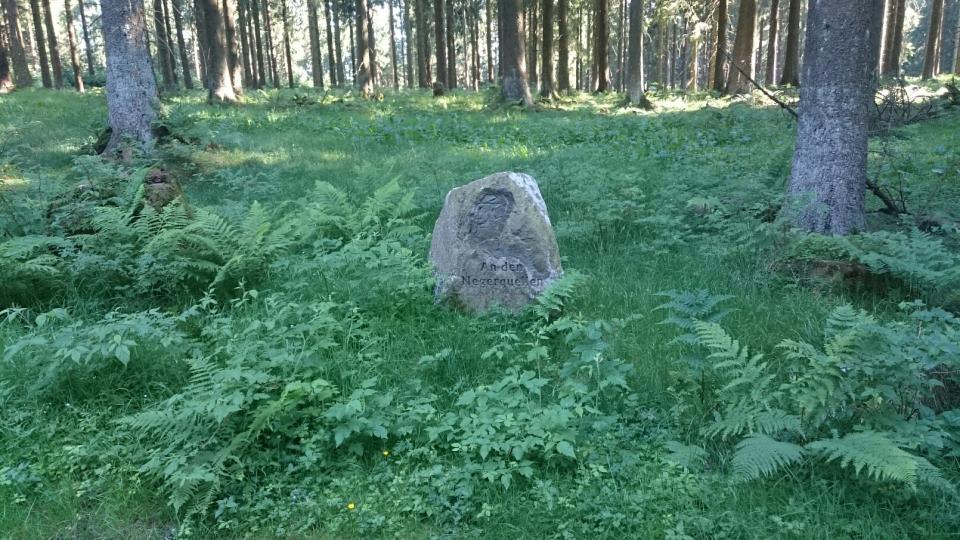 [Bild: attachment.php?thumbnail=8320]